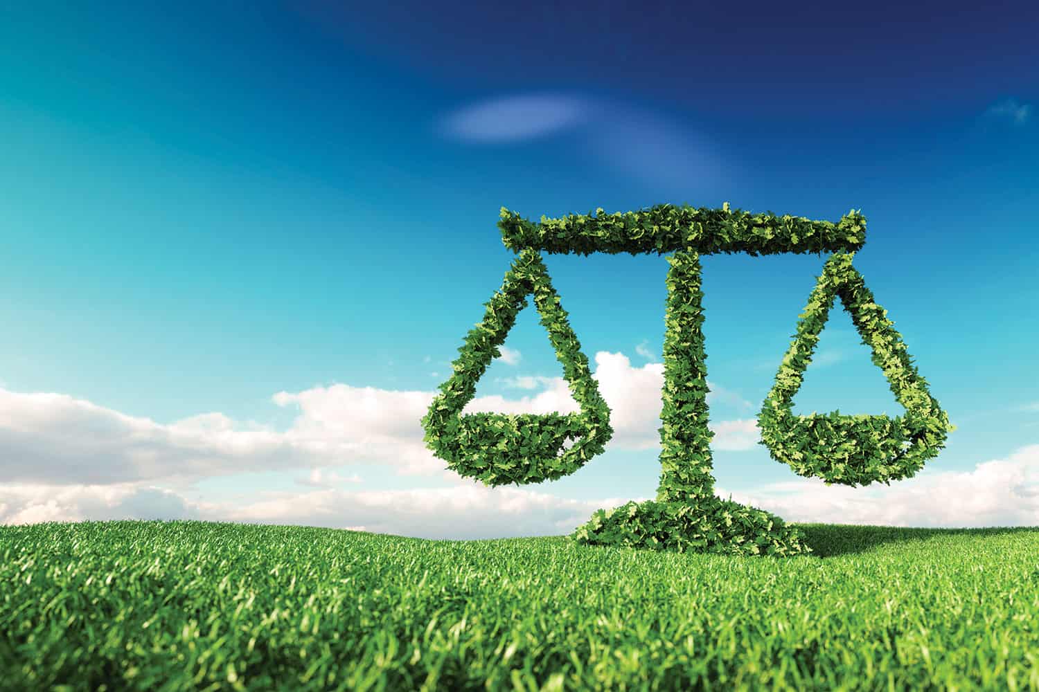 Graphic of traditional scales covered in leaves on grassy foreground with blue skies and low white clouds in background.