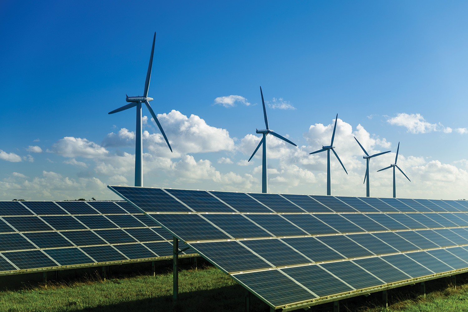 : photo of wind turbines in the background, ground-installed solar panels in the foreground