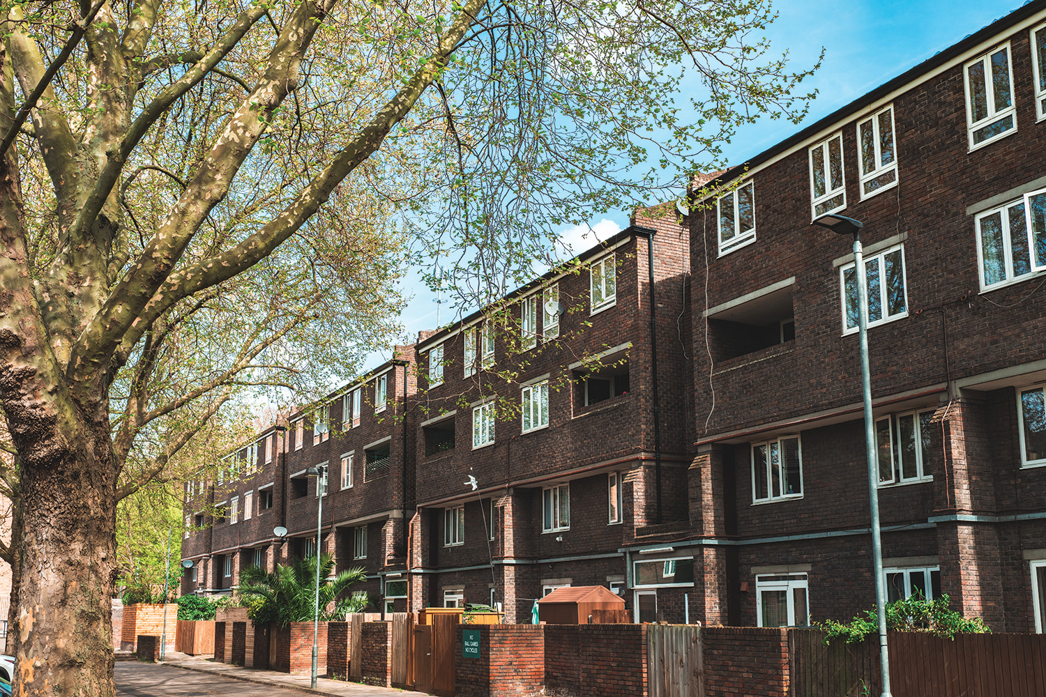 Social housing flats shaded from spring sunshine by tree.